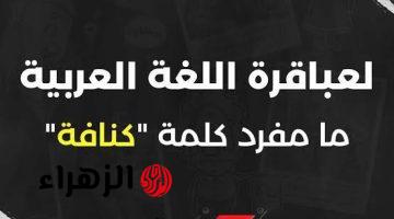 “اللجان اتملت بالصريخ!!”.. دكتور يثير الجدل ويكشف مفاجأة عن كلمة كُنافة!!… صدمة للطلاب والمدرسين!!