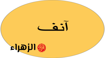 دفعة بحالها معرفتش تحل السؤال حتى الأساتذة!! .. ماهو جمع كلمة انف في اللغة العربية ؟! .. المعجم يجيب!!