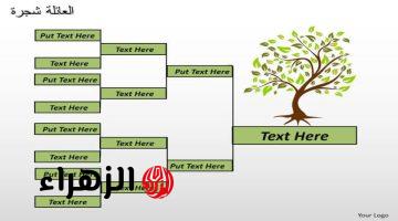 بخطوة واحدة هاتعرف أول جد كان أسمه ايه!! .. أسهل طريقة لمعرفة أصول عيلتك وجذورها .. مش هياخد من إيدك دقائق!!