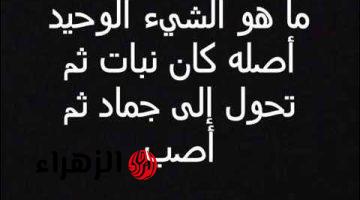 مستحيل تخطر علي بالك .. ما هو الشيء الذي خلق نبات ثم تحول إلى جماد ثم تحول إلي حيوان؟؟ هتتصدم لما تعرف هي إيه!!