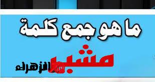 “سؤال حير دكاترة الجامعة” .. هل تعلم ماهو جمع كلمة “مشير” التي حيرت ملايين الطلاب .. إجابة الكل بيدور عليها!!