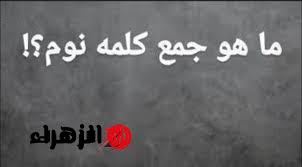 سؤال حير جميع الطلاب … ما هو جمع كلمة« نوم» في قاموس اللغة العربية || سقطت طلاب الثانوية العامة؟؟ إجابة غير متوقعة من دكتور جامعي