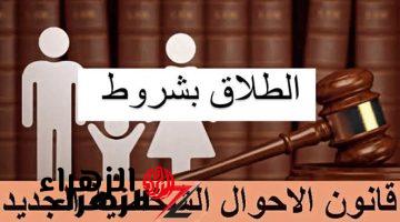 “هتدفع دم قلبك لو فكرت تطلق!!”.. 6 شروط صارمة من الحكومة يجب أن تعرفها قبل ان تاخد القرار!!.. الأخيرة هتصدمك!!