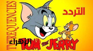 أطفالك مش هيسيبوها.. استقبل تردد قناة توم وجيري 2025 Tom and Jerry على مختلف الاقمار الصناعية عرب سات ونايل سات