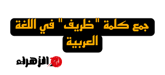 “99% من الطلاب معرفوش يحلوها” .. هل تعلم ما هو جمع كلمة “ظريف” التي حيرت ملايين الطلاب؟؟ إجابة غير متوقعة من دكتور جامعي