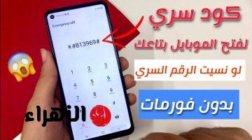 «مش هتستغني عنه بعد كدا» .. طريقة عبقرية لفتح الهاتف عند نسيان كلمة المرور بدون سوفت وير .. خبير تكنولوجي قالي عليها