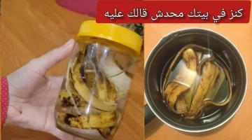 “فكرة عبقرية متخطرش على بالك”.. حطي قشر الموز في البرطمان وشوفي النتيجة اللي هتغير حياتك | اوعي ترميه تاني 