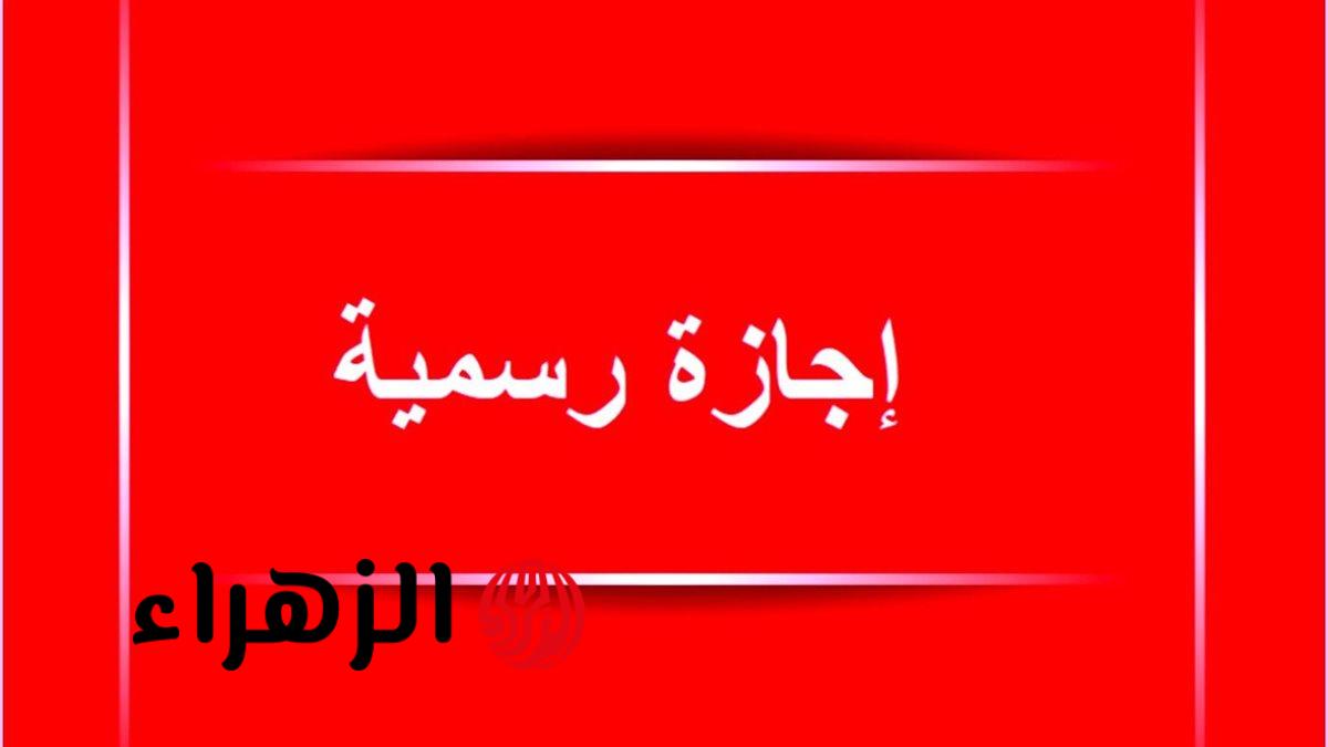 الإجازة الرسمية المقبلة في مصر.. هل يحصل الموظفون على عطلة 30 يونيو الخميس؟