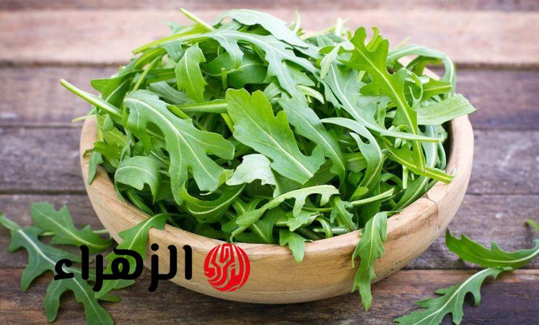 أبرزها «فقدان الوزن وتقوية المناعة».. 10 فوائد مذهلة إذا تناولت الجرجير يوميا