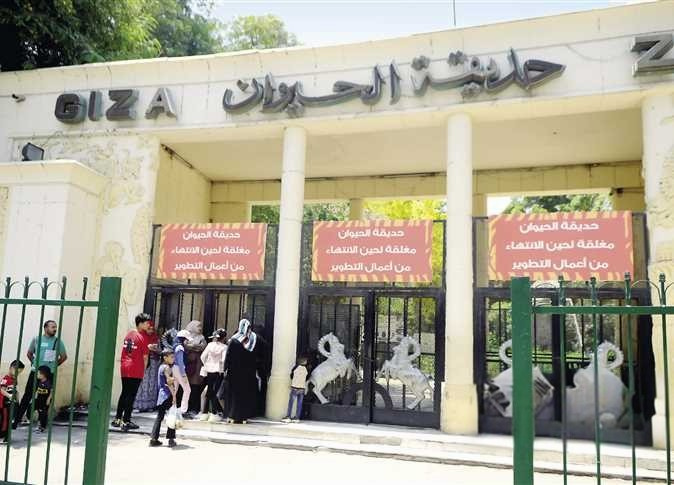 ما سعر التذكرة؟.. موعد افتتاح حديقة الحيوان بالجيزة بعد تطويرها