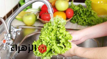 احذر غسيل الفواكه والخضراوات بهذه الطريقة