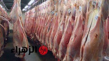بمناسبة عيد الأضحى.. قرار عاجل من الزراعة يسعد ملايين المواطنين وهذه تفاصيله