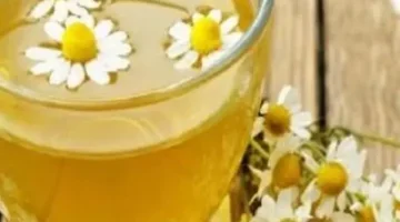 أبرزها تخفيف التوتر… فوائد مذهلة تجبرك على تناول البابونج 