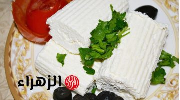 عيالك هيدمنوها.. 3 اضافات سحرية تجعل الجبنة القريش طعمها لا يقاوم