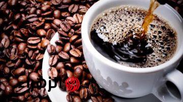 ماذا يحدث للكبد عند شرب القهوة يومياً؟