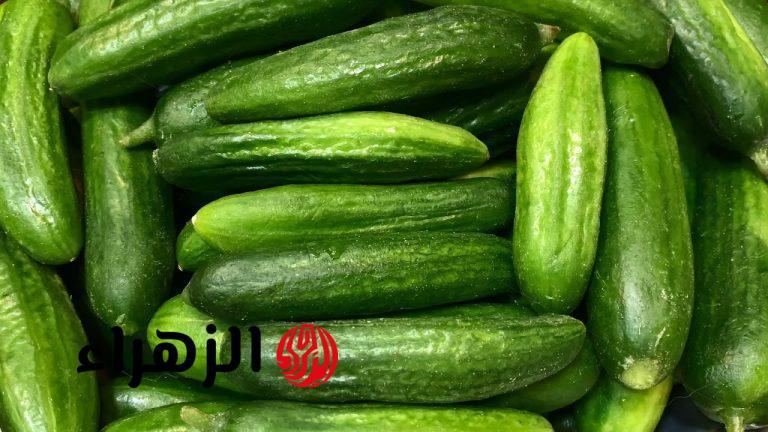 طريقة سحرية للحفاظ على الخيار طازجا لعدة أسابيع.. «مش هيعفن ولا يدبل»