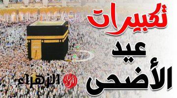 مناسـك الحـج.. تردد قناة الحج السعودية على نايل سات الناقلة لتكبيرات العيد بجودة عالية 2026