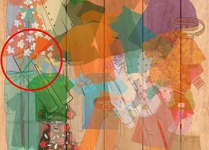 ركّز جيداً.. 1% فقط استطاعوا اكتشاف المكنسة المخفية في أقل من 5 ثوانٍ.. هل أنت منهم؟ 7 لغز المكنسة