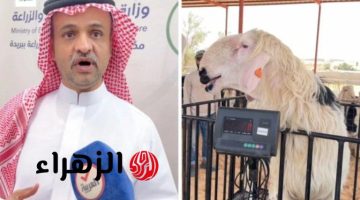 رقم خيالي يهز الخليج!.. سعودي يشتري خروف بـ2 مليون ريال في صفقة أغلى من قصور وسيارات