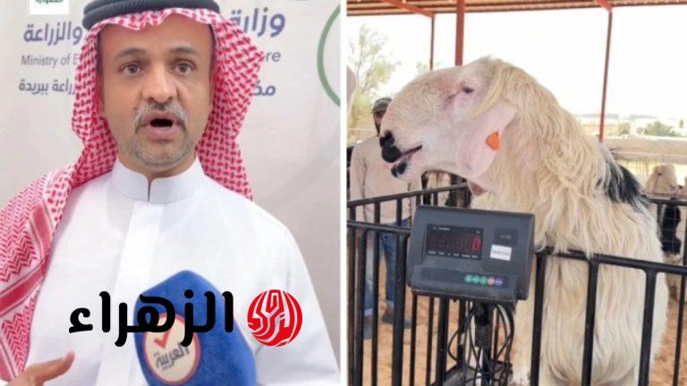 رقم خيالي يهز الخليج!.. سعودي يشتري خروف بـ2 مليون ريال في صفقة أغلى من قصور وسيارات