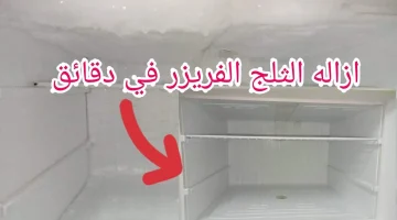 مكون سحري للتخلص من الثلج المتراكم في الفريزر.. موجود داخل كل منزل