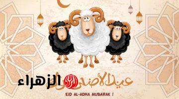 أجمل تهنئة عيد الأضحى 2026 مكتوبة وقصيرة.. ارسل أجمل عبارات التهئنة لأحبائك وأقاربك الآن