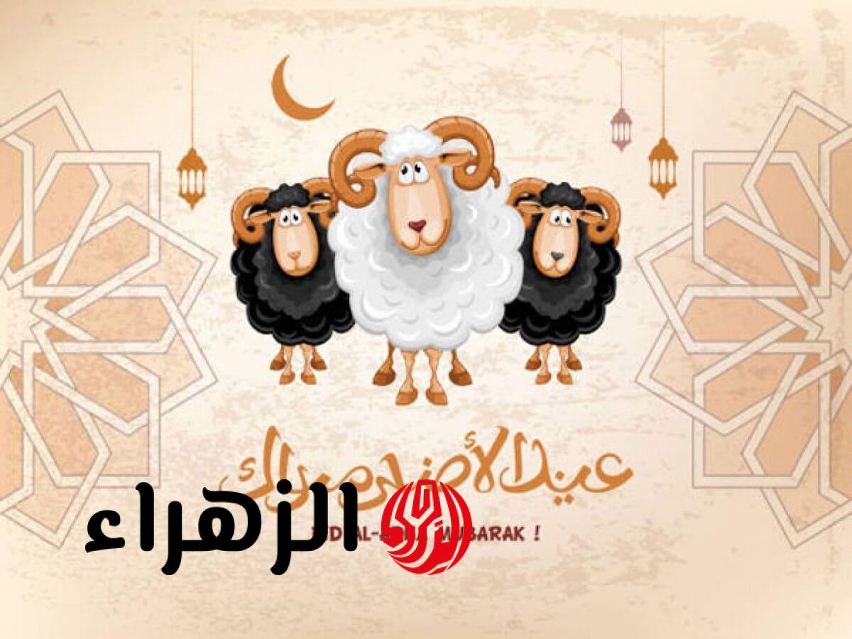 أجمل تهنئة عيد الأضحى 2026 مكتوبة وقصيرة.. ارسل أجمل عبارات التهئنة لأحبائك وأقاربك الآن