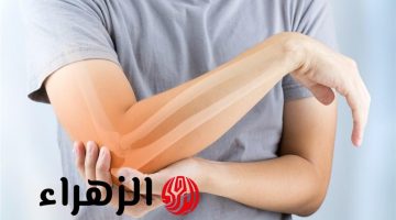بعيدًا عن منتجات الألبان.. 5 أطعمة تقوي عظامك (تعرف عليها)