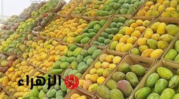 الزراعة تكشف حقيقة اختفاء المانجو في مصر بسبب التغيرات المناخية
