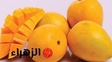 لعشاق المانجو.. خبير تغذية يحذر: إياكم وتناولها في هذه الأوقات