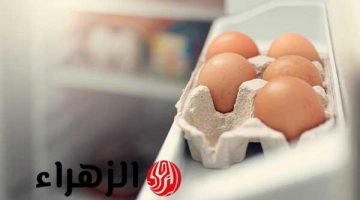 تحذير من خطأ شائع في تخزين البيض يؤدي إلى تعفنه بسرعة.. إليك الطريقة الصحيحة