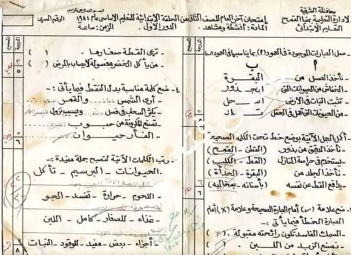 أسئلة سهلة وخط جميل.. صورة امتحان المرحلة الابتدائية تعود لعام 1984 تثير إعجاب الجمهور
