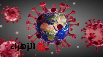بعد وفاة 3 أشخاص بسببه.. ما هو فيروس “هانتا” وما هي أعراضه؟