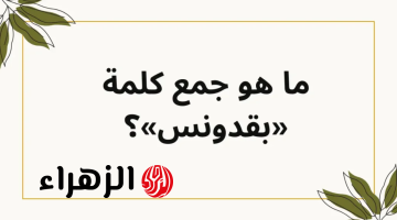 “مش زي ما كنت فاكر!”.. ما هو جمع كلمة بقدونس في معجم اللغة العربية؟ الحقيقة الكاملة هتفاجئك