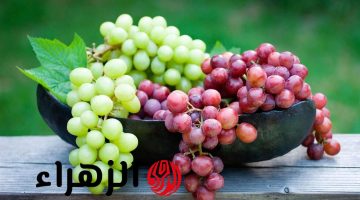 الكيلو وصل لـ 130 جنيه.. شعبة الفاكهة تكشف سبب ارتفاع سعر العنب في الأسواق