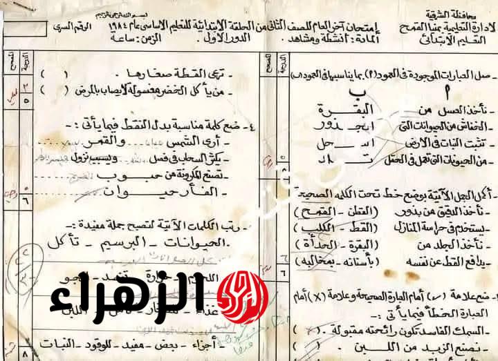 قلبت الفيس بوك كله.. صورة من امتحان تانية إبتدائي سنة 1984 تثير الجدل على السوشيال ميديا 6 امتحان 2 ابتدائي تثير الجدل 1