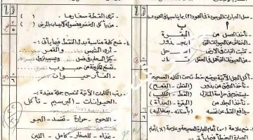 قلبت الفيس.. صورة امتحان للمرحلة الابتدائية ترجع لـ 1984 تثير إعجاب النشطاء
