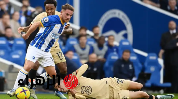 Brighton vs Chelsea.. قنـاة ببـلاش تذيـع مباراة برايتون ضد تشيلسي في الدوري الانجليزي الممتاز 2026 اليـوم