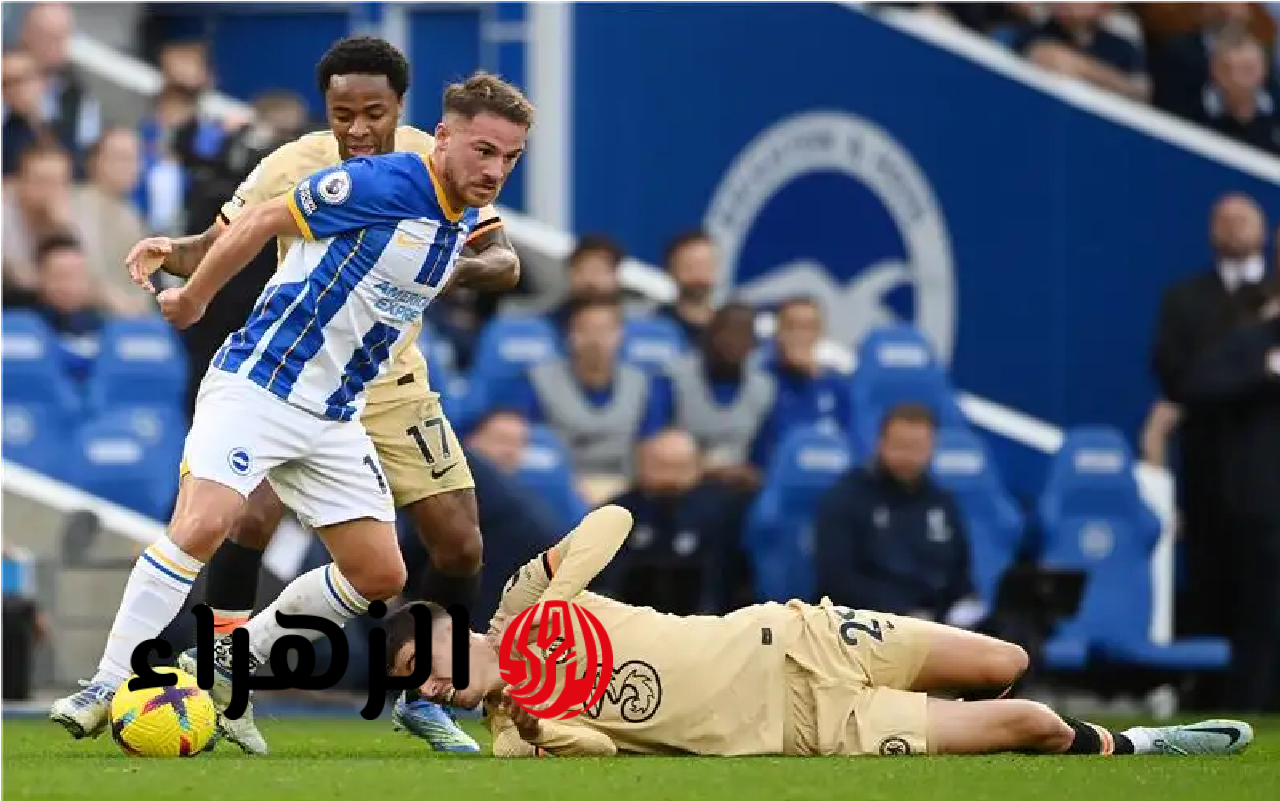 Brighton vs Chelsea.. قنـاة ببـلاش تذيـع مباراة برايتون ضد تشيلسي في الدوري الانجليزي الممتاز 2026 اليـوم 6 تشيلسي ضد برايتون