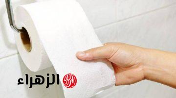 أسباب أول مرة تعرفها.. لماذا يجب وضع «ورق التواليت» في الثلاجة؟