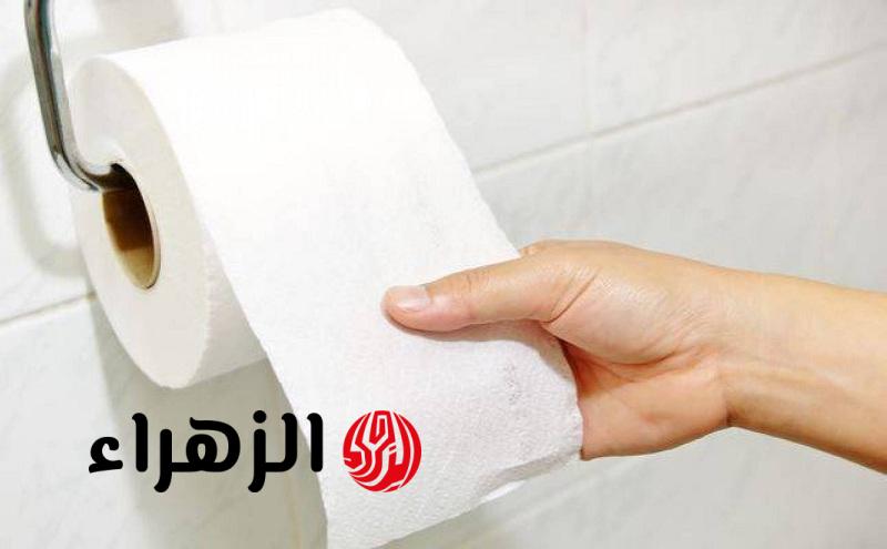 أسباب أول مرة تعرفها.. لماذا يجب وضع «ورق التواليت» في الثلاجة؟