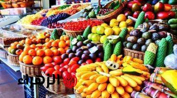 مجنونة يا قوطة فعلا.. ماذا حدث في أسعار الخضروات في سوق العبور اليوم الجمعة 27 مارس 2026 في مصر