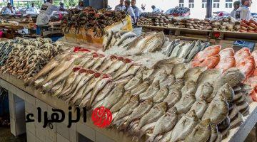 “البلطي بكام النهارده؟” سعر سمك البوري والبلطي والجمبري اليوم الخميس 23-4-2026 في مصر مفاجأة في الأسعار