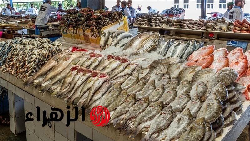 “البلطي بكام النهارده؟” سعر سمك البوري والبلطي والجمبري اليوم الخميس 23-4-2026 في مصر مفاجأة في الأسعار