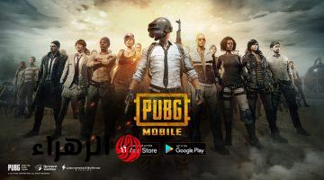 اشحن شدات PUBG UC الآن بطريقة آمنة ومضمونة 100% واحصل على 4200 شدة مجانية — خليك جاهز تفجر التنين وتوصل رانك 12000 وتكسب كل المعارك!