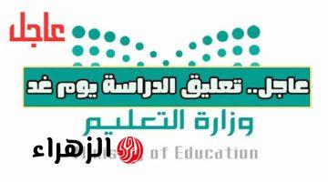 عاجـل رسميًا.. تعليق الدراسة الحضورية في عدة مناطق بالمملكة غداً الأحد وتحويلها “عن بُعد”