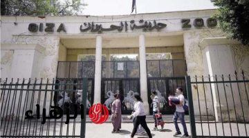بعد تغيير اسمها.. موعد افتتاح حديقة الحيوان بالجيزة بعد تطويرها
