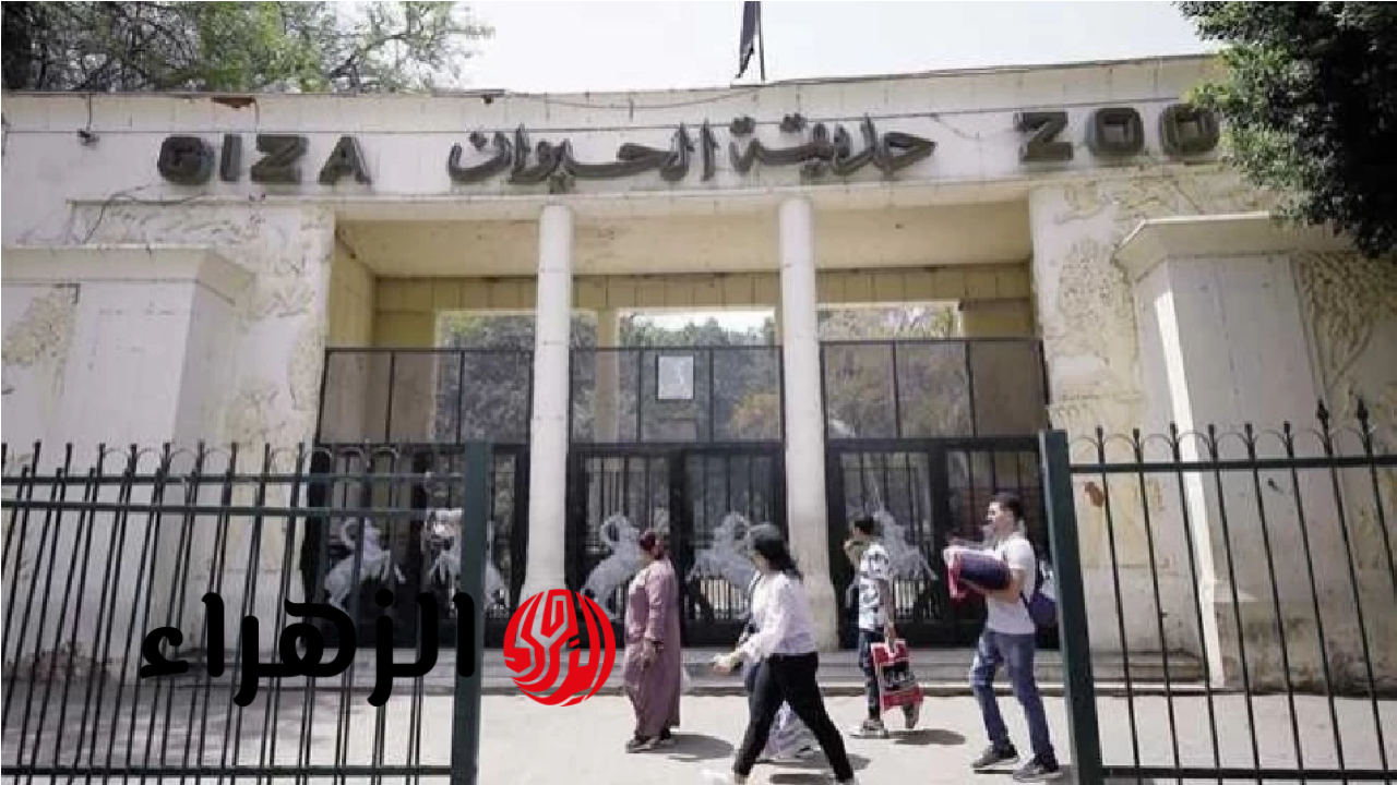 بعد تغيير اسمها.. موعد افتتاح حديقة الحيوان بالجيزة بعد تطويرها