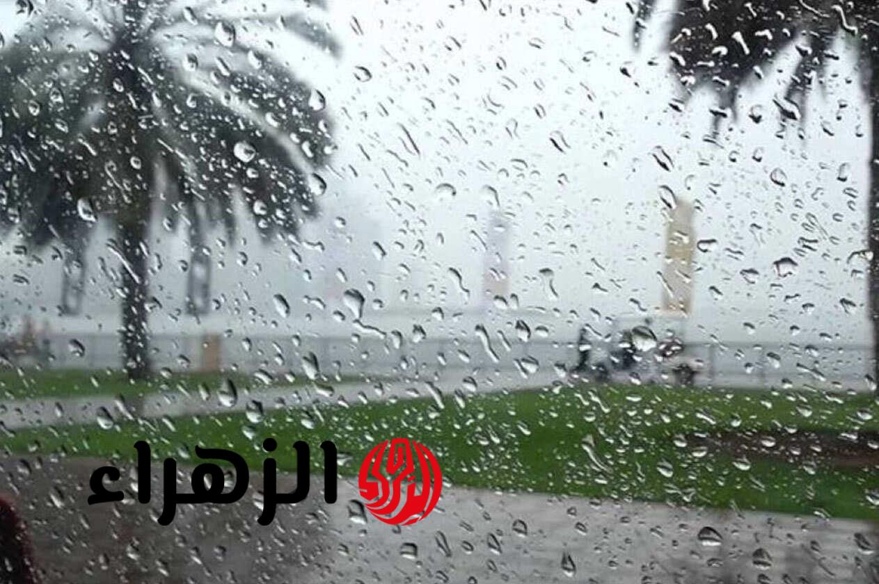 رسمياً.. تعليم عسير يعلن تعليق الدراسة الحضورية غداً الاثنين بسبب الأمطار والإنذار الأحمر