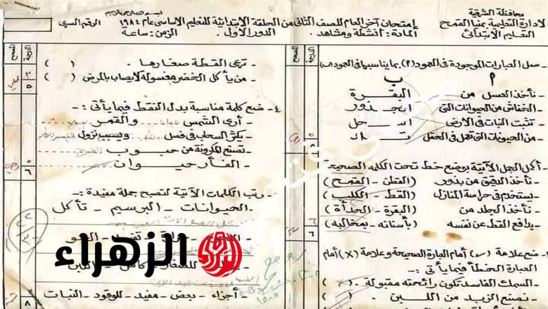 أسئلة سهلة وخط جميل.. صورة امتحان المرحلة الابتدائية تعود لعام 1984 تثير إعجاب الجمهور 6